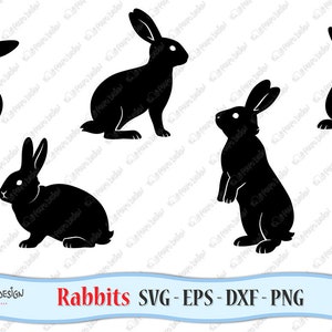 Kaninchen SVG. Digitale Clipart SVG EPS Dxf Png. Vektor-Dateien ideal für Schneidemaschinen wie Silhouette Studio Cameo, Cricut, ScanNCut etc.