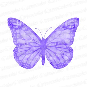 May include: A watercolor painting of a purple butterfly with its wings spread wide. The butterfly is painted in a light purple color with a white background.