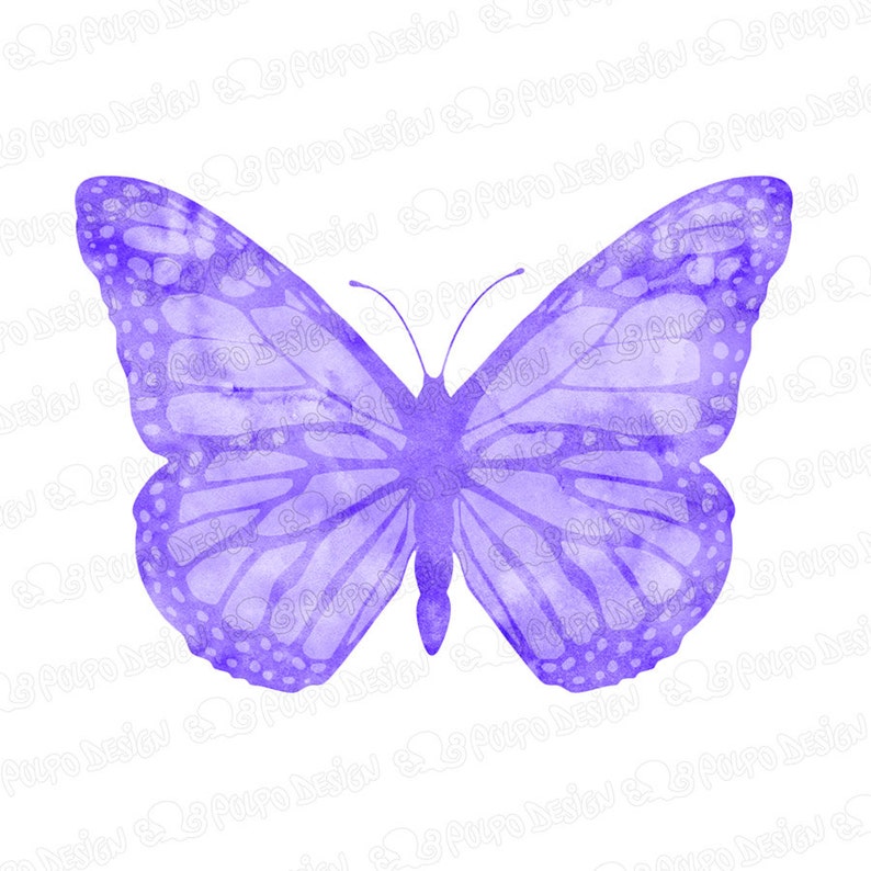 May include: A watercolor painting of a purple butterfly with its wings spread wide. The butterfly is painted in a light purple color with a white background.