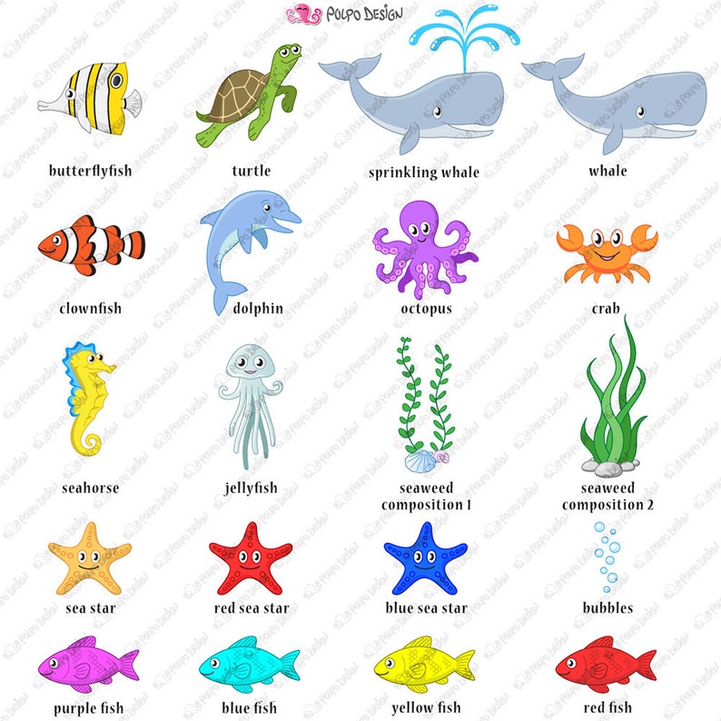 Sea Creatures clipart and 1 background image. Sea creature clipart, sea animal clipart, sea creatures png, seahorse clipart, dolphin clipart image 2