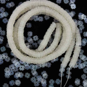 May include: A white, fluffy, and textured trim with a fringe-like appearance. The trim is coiled and arranged on a black background with scattered, clear, flower-shaped sequins.