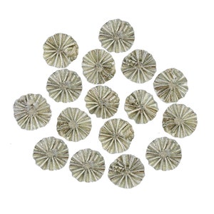 Gota Flower Ethnic Appliques Patches For Dresses, Headpieces, Decoration & Accessories (Silver Color,100 Pieces)