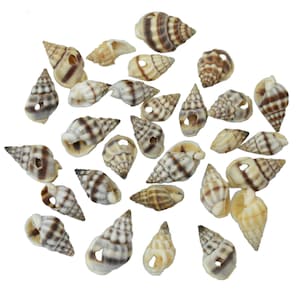 Tiny Nassa Sea Shells małe muszle morskie Naturalne muszle morskie z jednym otworem Koraliki plażowe Koraliki z muszli morskich Małe koraliki z muszli (13 x 20 MM) 100 sztuk