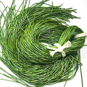 May include: A bundle of green metallic wire, tied together with a white string. The wire is shiny and has a slight sheen.
