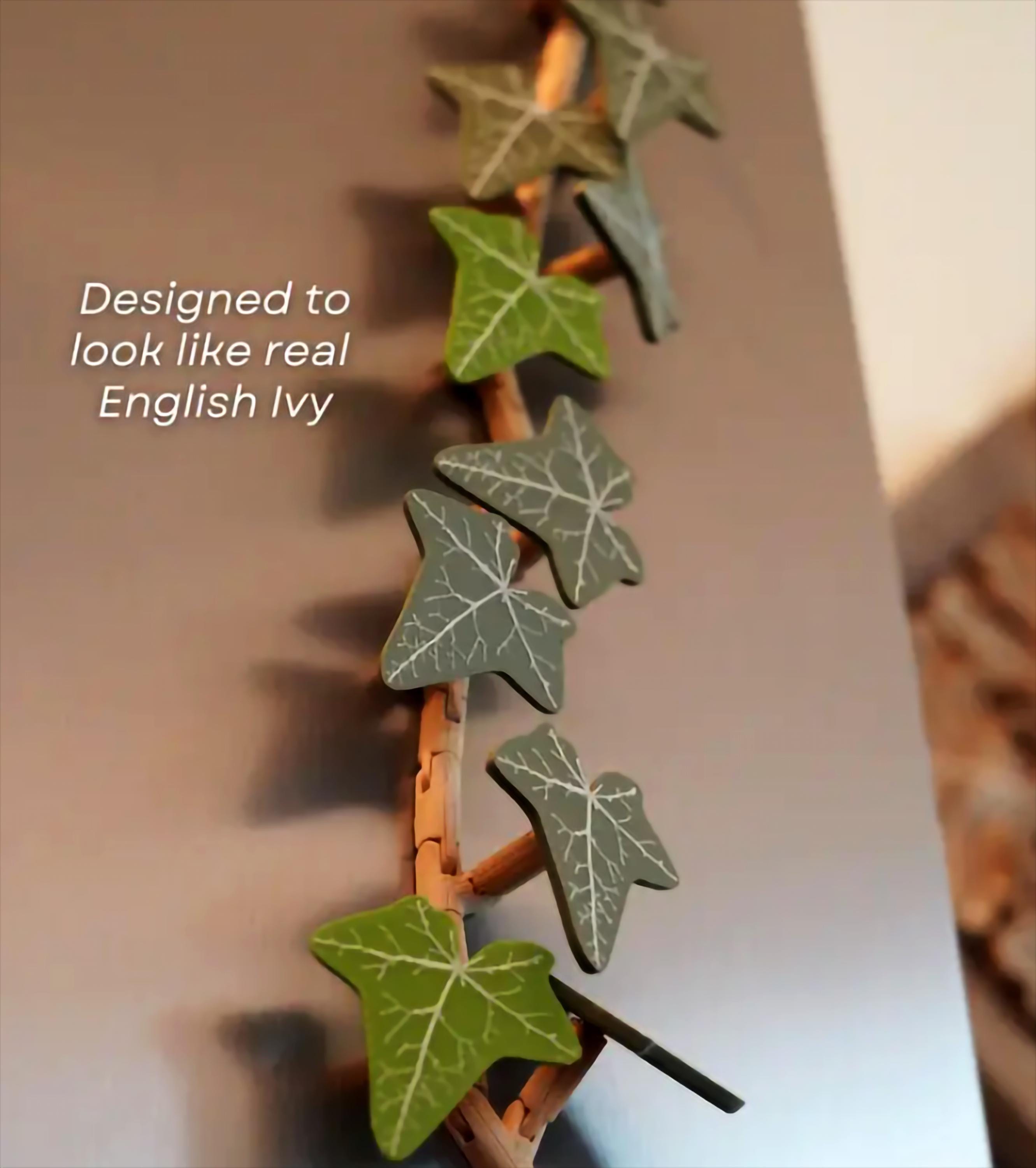 English Ivy Fridge Magnet | Flexible Climbing Magnet Vine | Articulated Ivy for Fridge | Magnetic Leaf Decor 3D Printed Ivy Magnet Organizer