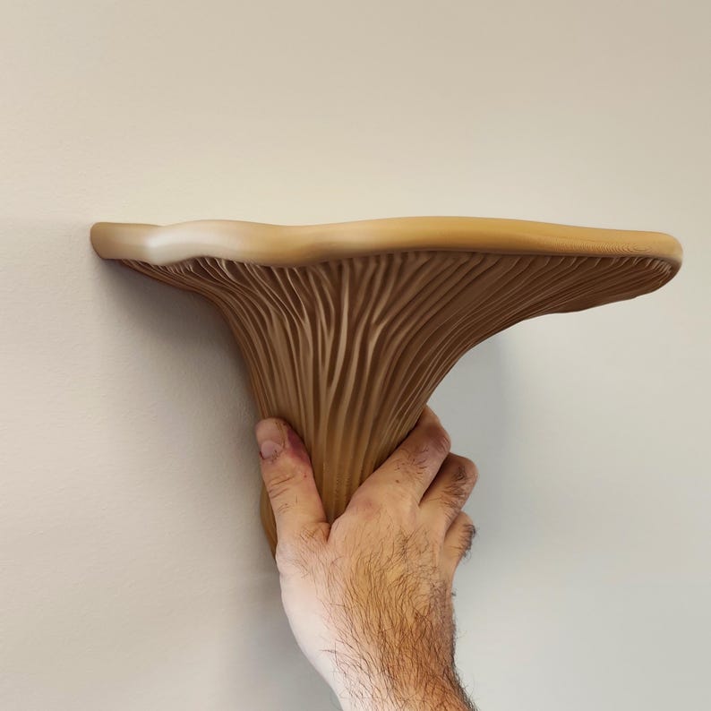 3D Printed Mushroom Shelf | Floating Wall Shelf Organic Wall Decor | Nature Home Accent Modern Wall Mounted Shelf | Unique Fungi Decor image 7