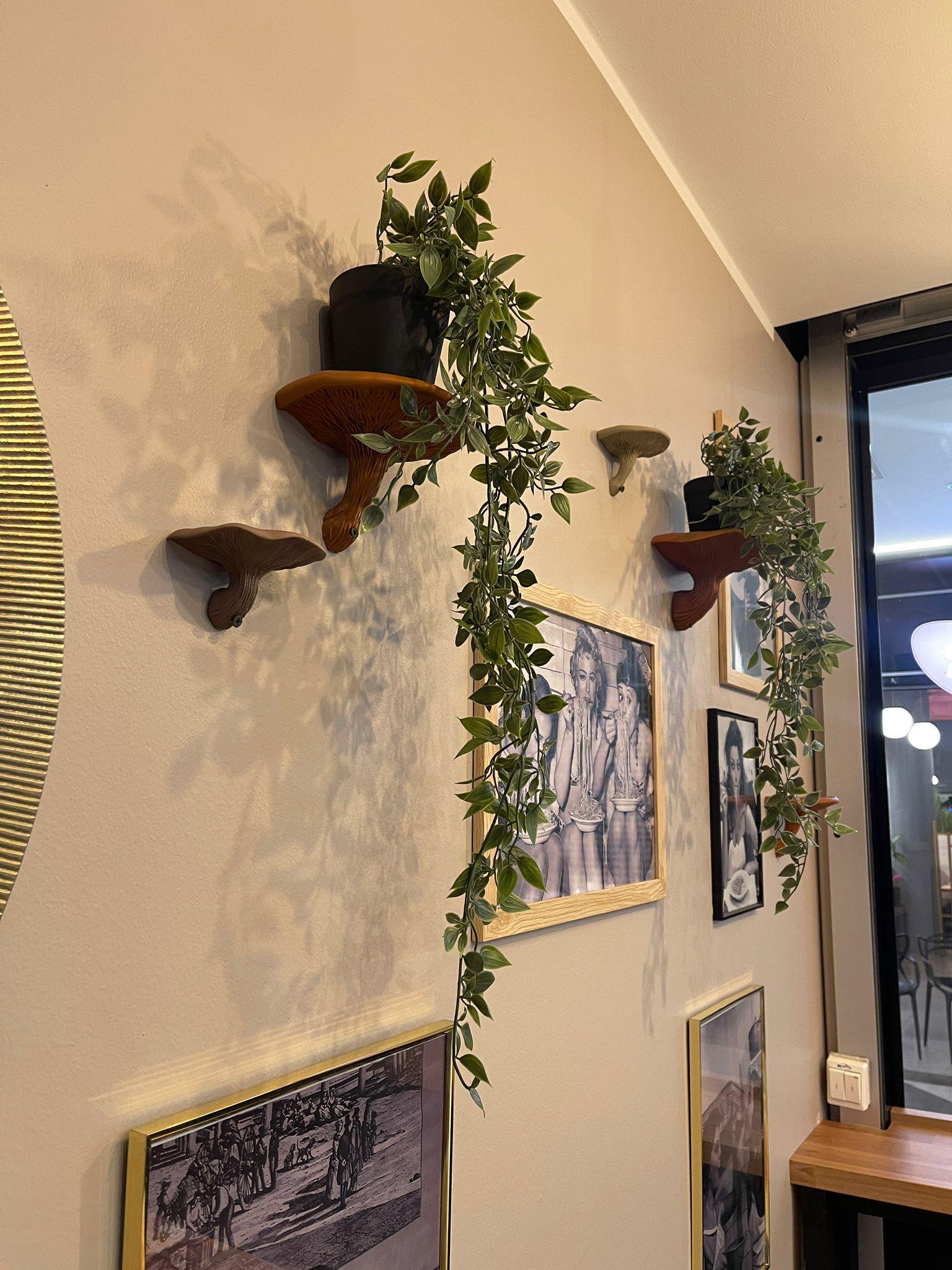 3D Printed Mushroom Shelf | Floating Wall Shelf | Organic Decor Nature ...