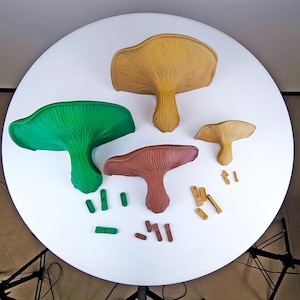 Fungi Floating Wall Shelf | 3D Printed Mushroom Organic Wall Decor | Nature Inspired Home Accent Modern Wall Mounted Shelf | Aesthetic Decor image 9