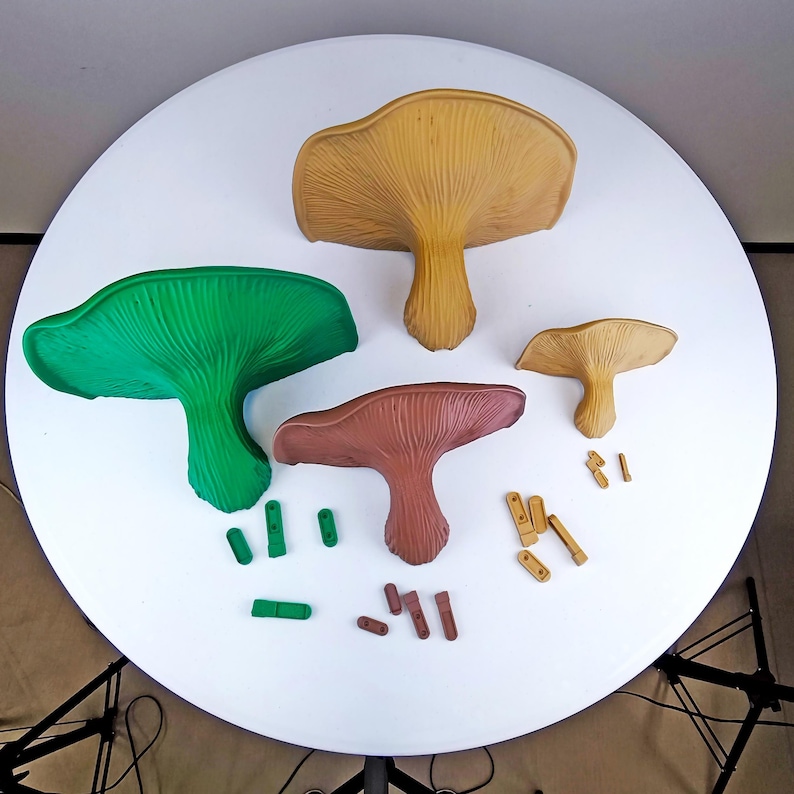 Fungi Floating Wall Shelf | 3D Printed Mushroom Organic Wall Decor | Nature Inspired Home Accent Modern Wall Mounted Shelf | Aesthetic Decor image 9