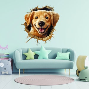 Dog Porthole in Nursery Room,