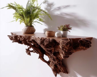 Tree Root Wall Shelf | Floating Shelf for Plants | 3D Printed Organic Wall Decor | Nature Inspired Shelf | Rustic Earthy Home Accent