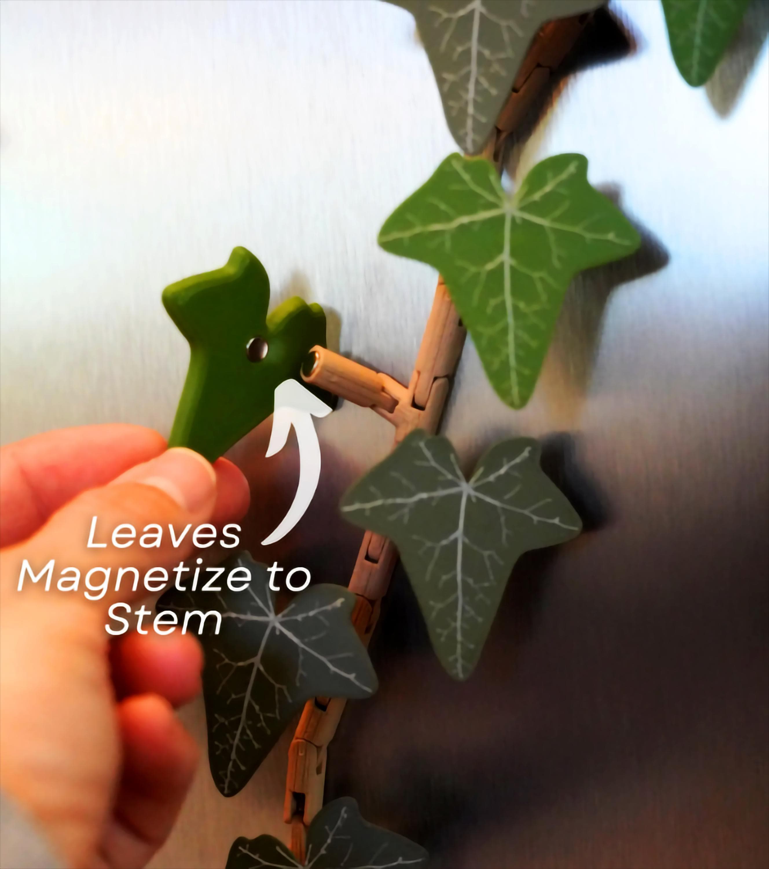 English Ivy Fridge Magnet | Flexible Climbing Magnet Vine | Articulated Ivy for Fridge | Magnetic Leaf Decor 3D Printed Ivy Magnet Organizer