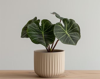 3D Printed Ribbed Planter | Modern Minimalist Plant Pot | Contemporary Indoor Planter | PLA Plastic Pot | Gift for Plant Lovers