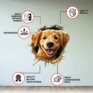 Broken Dog Illusion Wall Art,