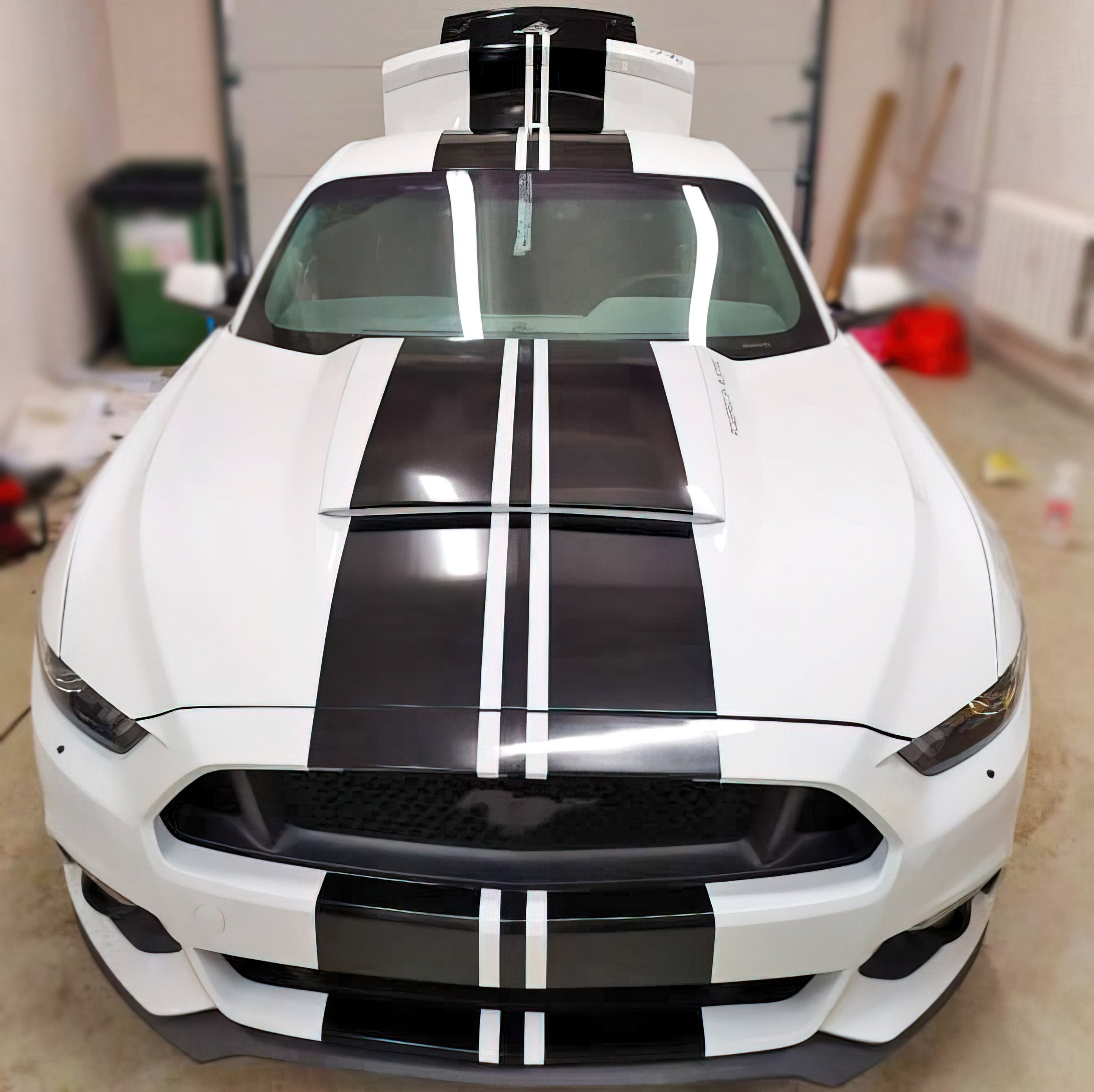Vehicle stripes 2024