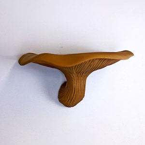 Fungi Floating Wall Shelf | 3D Printed Mushroom Organic Wall Decor | Nature Inspired Home Accent Modern Wall Mounted Shelf | Aesthetic Decor image 7