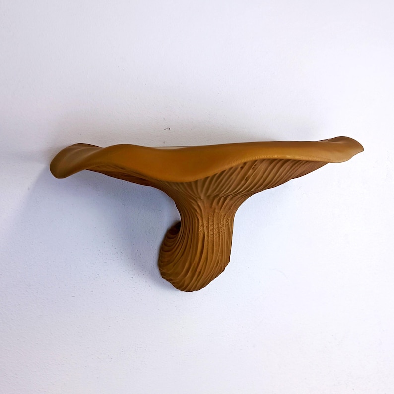 Fungi Floating Wall Shelf | 3D Printed Mushroom Organic Wall Decor | Nature Inspired Home Accent Modern Wall Mounted Shelf | Aesthetic Decor image 7