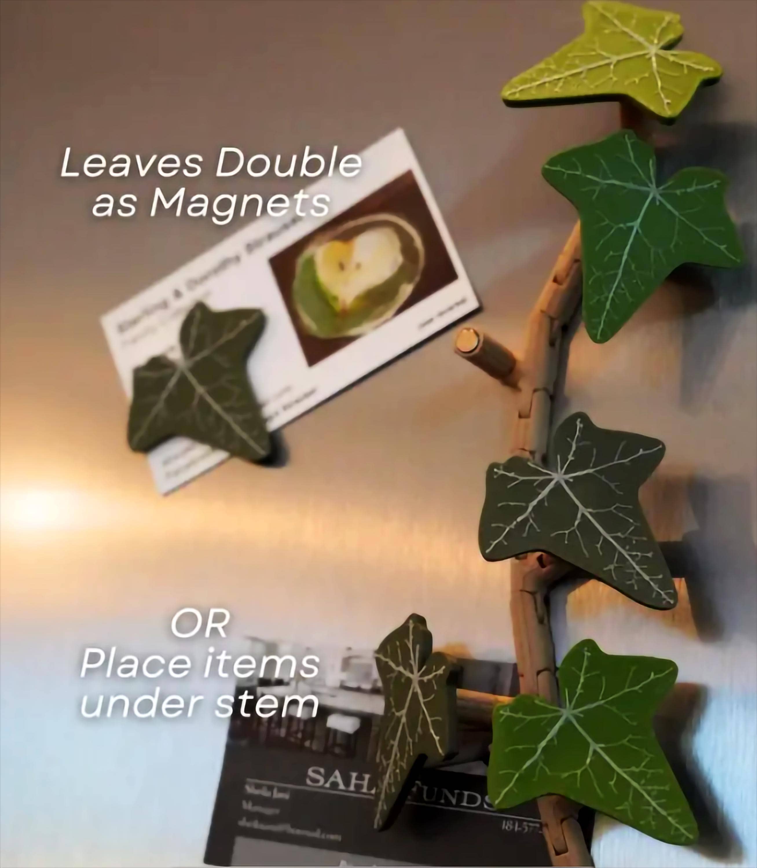 English Ivy Fridge Magnet | Flexible Climbing Magnet Vine | Articulated Ivy for Fridge | Magnetic Leaf Decor 3D Printed Ivy Magnet Organizer