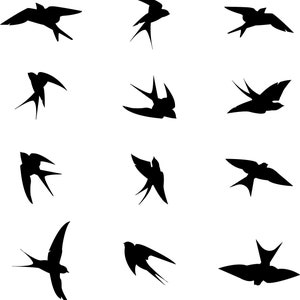 Bird Decals For Windows Anti Collision Window Decals For Birds Strikes Stop Birds From Hitting Windows Clings For Bird Strikes image 2