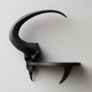 Könnte beinhalten: Schwarzes Wandregal in Form eines Schädels und Hörnern. Das Regal hat ein gebogenes Horn und eine flache Ablagefläche zum Präsentieren von Gegenständen. Ein einzigartiges, künstlerisches Wohnaccessoire.