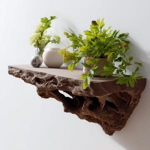 Estante flotante inspirado en raíces / Estante de pared impreso en 3D marrón / Repisa de pared orgánica para plantas / Decoración natural para interiores rústicos modernos