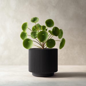 3Dプリントのモダンなブラックプランター | ミニマリストなリブ付き植木鉢 | 現代的な屋内用プランター | 植物愛好家へのユニークなギフト | ホームデコレーション
