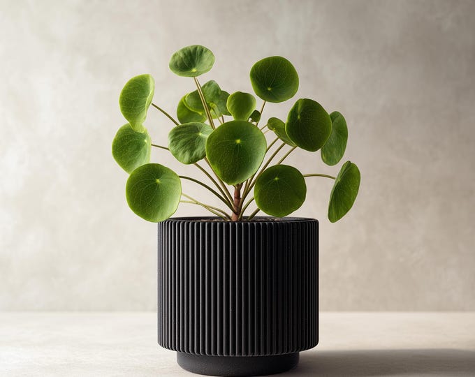 3D Printed Modern Black Planter | Minimalist Ribbed Plant Pot | Contemporary Indoor Planter | Unique Gift for Plant Lovers | Home Decor
