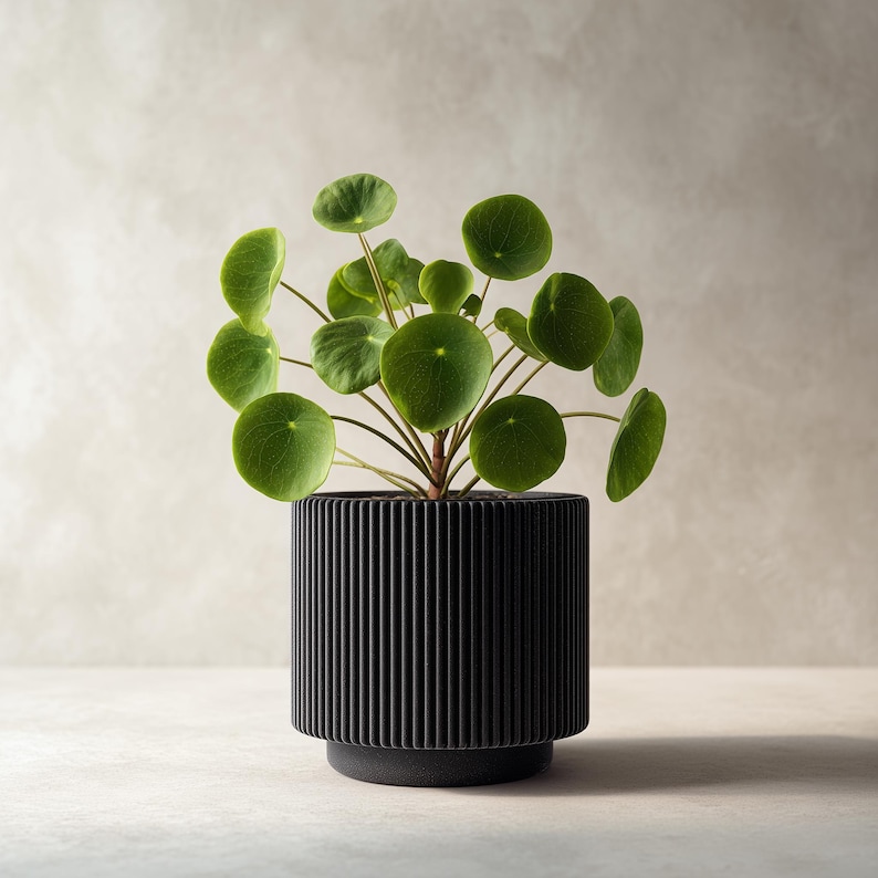 Black cylindrical 3D printed planter with vertical ribbed grooves, shown with a green indoor plant for illustration; plant not included.