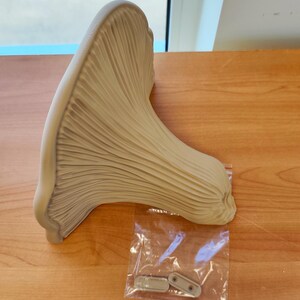 3D Printed Mushroom Shelf | Floating Wall Shelf Organic Wall Decor | Nature Home Accent Modern Wall Mounted Shelf | Unique Fungi Decor image 5