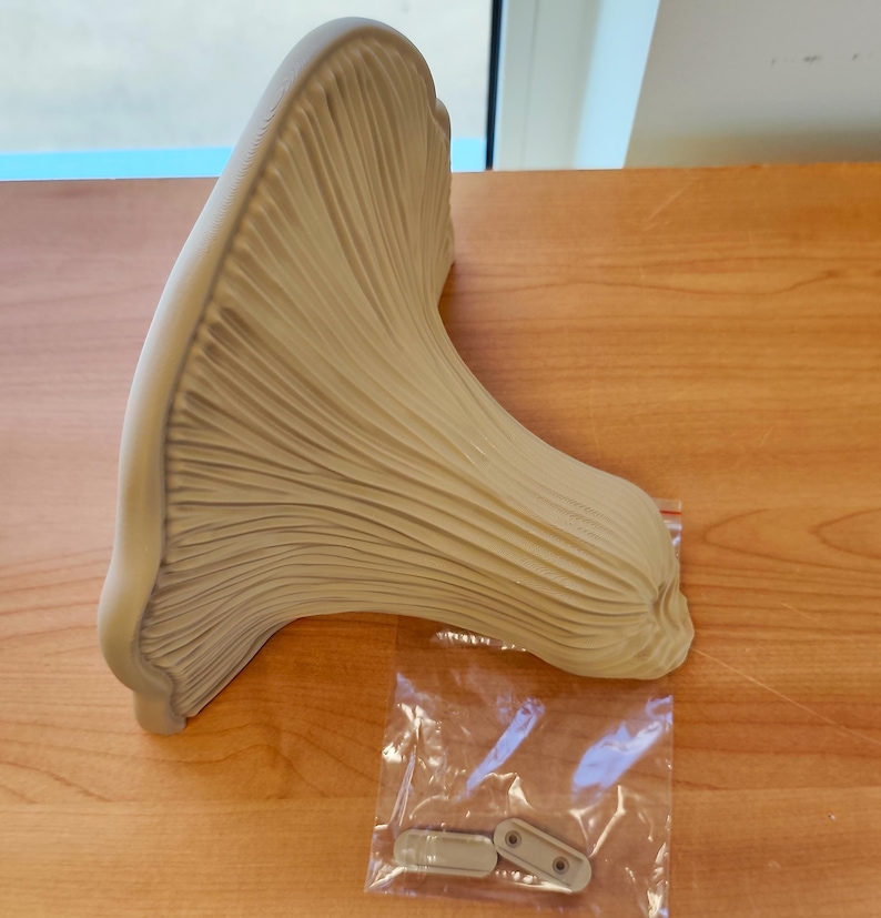 3D Printed Mushroom Shelf | Floating Wall Shelf Organic Wall Decor | Nature Home Accent Modern Wall Mounted Shelf | Unique Fungi Decor image 5