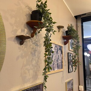 3D Printed Mushroom Shelf | Floating Wall Shelf Organic Wall Decor | Nature Home Accent Modern Wall Mounted Shelf | Unique Fungi Decor image 3