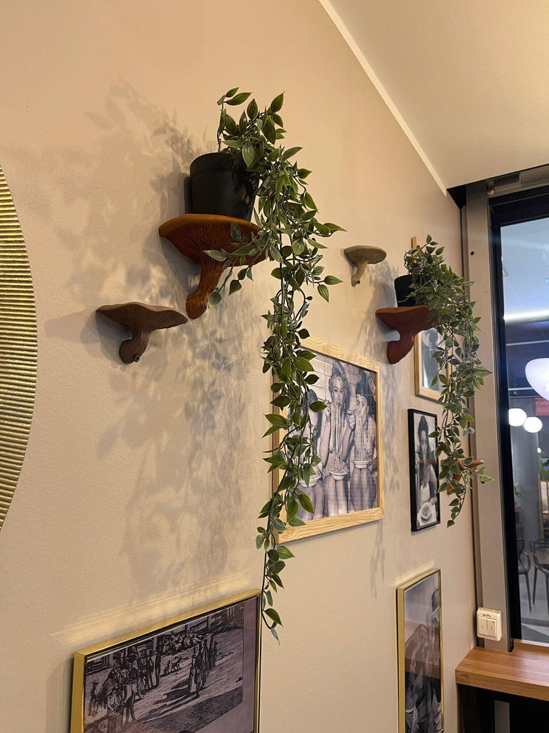 3D Printed Mushroom Shelf | Floating Wall Shelf Organic Wall Decor | Nature Home Accent Modern Wall Mounted Shelf | Unique Fungi Decor image 3