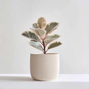 3D Printed Planter | Japanese Style Minimalist Vase | Modern Indoor Plant Pot | Unique Home Decor | Original Gift for Plant Lovers