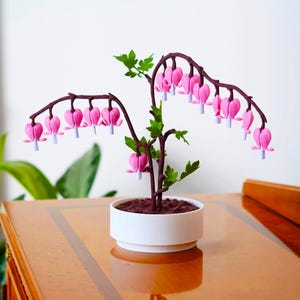 Portagioie Bleeding Hearts / Porta biglietti d'amore per San Valentino / Regalo floreale stampato in 3D / Ricordo romantico unico / Decorazione funzionale per piante