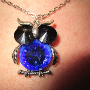 May include: A silver chain necklace with an owl pendant. The owl has black and blue crystal accents.