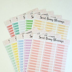 Budget Expense Tracker Stickers, Fits Erin Condren 7 x 9, classic size Happy Planner, and TBM Budget by Paycheck Workbook