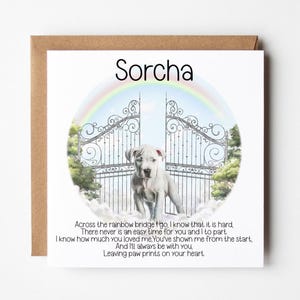Carte personnalisée de perte d'animal de compagnie | Carte commémorative du Staffordshire Bull Terrier de Zazzle.be Liste d'envies Vous avez des idées ? de sympathie pour animal de compagnie | de sympathie pour chien | Carte de décès d'un animal de compagnie