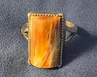 Sterling Silver and Petrified Wood Ring