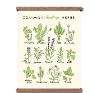 Healing Herbs 11 x 14 Screen Print