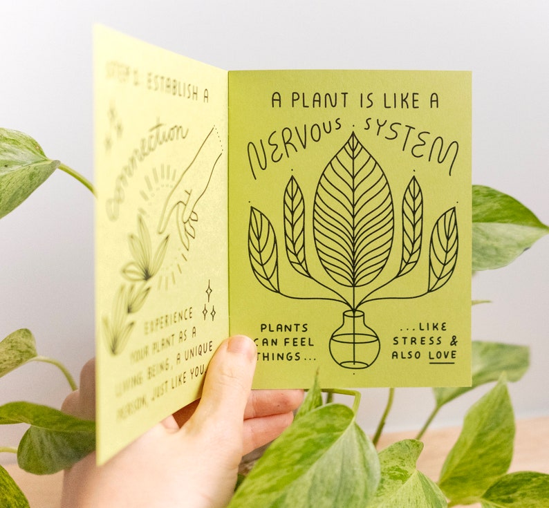 Comment garder une plante en vie Zine image 2