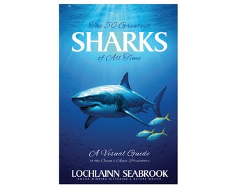The 50 Greatest Sharks of All Time: A Visual Guide by Lochlainn Seabrook