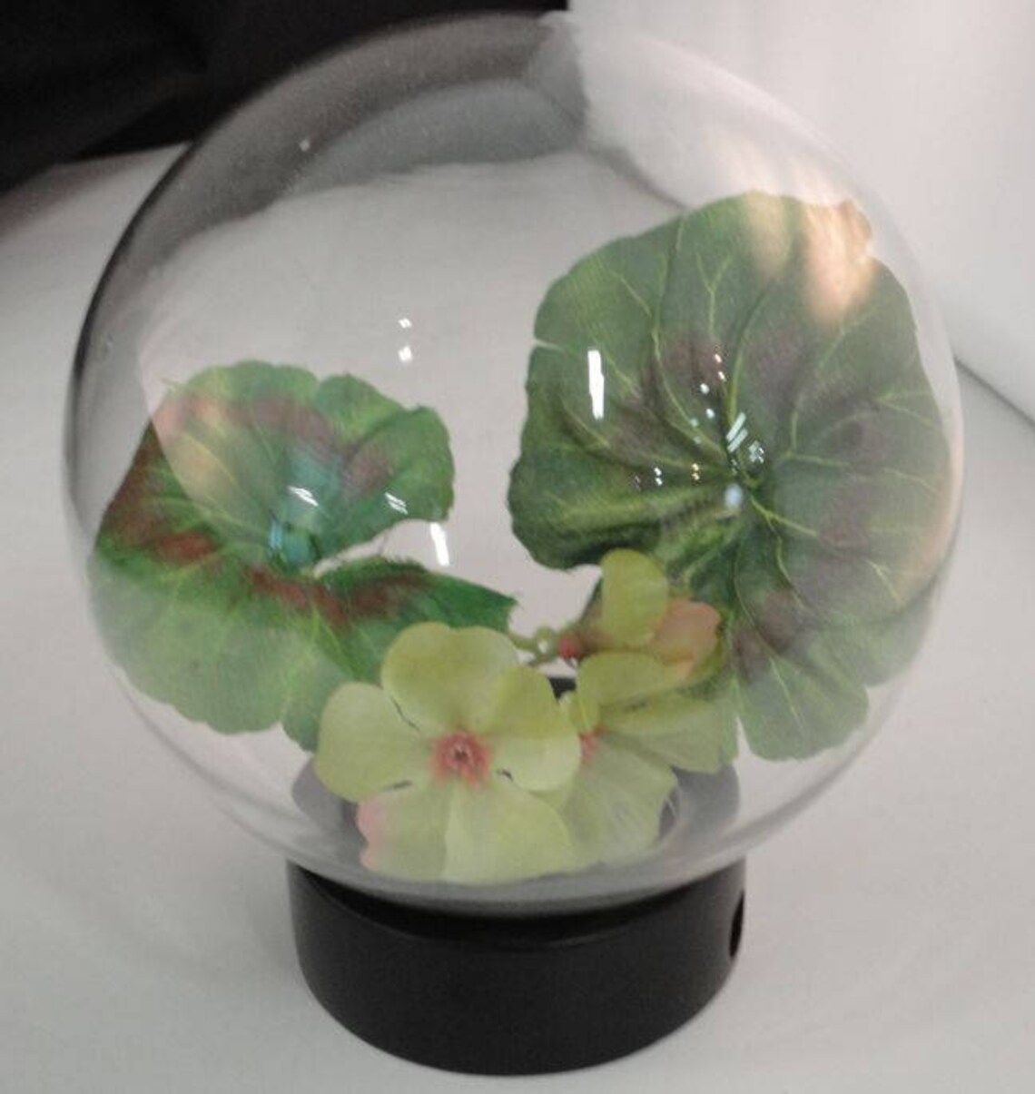 Display Globesmall Glass on Wood Base Etsy