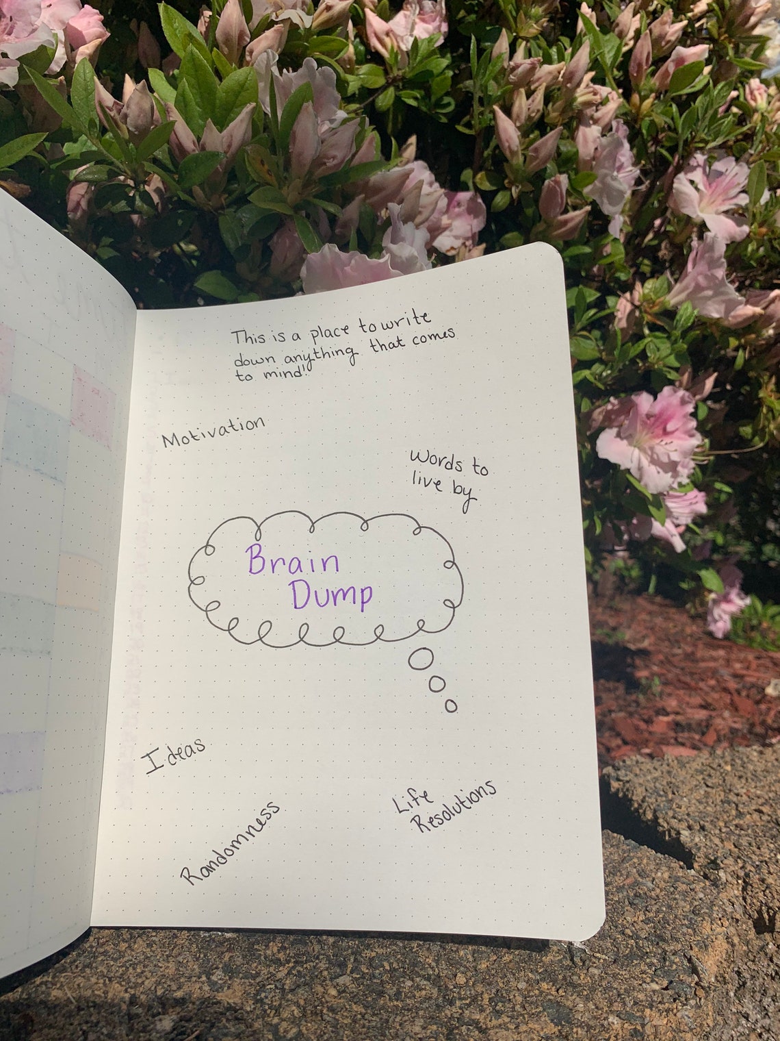 Diario bala personalizado de salud mental | Etsy