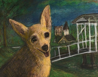 Chihuahua Portrait