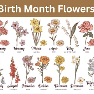 Pu&ograve; includere: Un grafico che mostra i fiori di nascita per ogni mese dell'anno. I fiori sono illustrati in uno stile vintage con dettagli delicati. I fiori sono etichettati con i loro nomi e il mese corrispondente. I mesi sono gennaio, febbraio, marzo, aprile, maggio, giugno, luglio, agosto, settembre, ottobre, novembre, dicembre e aborto spontaneo e perdita.
