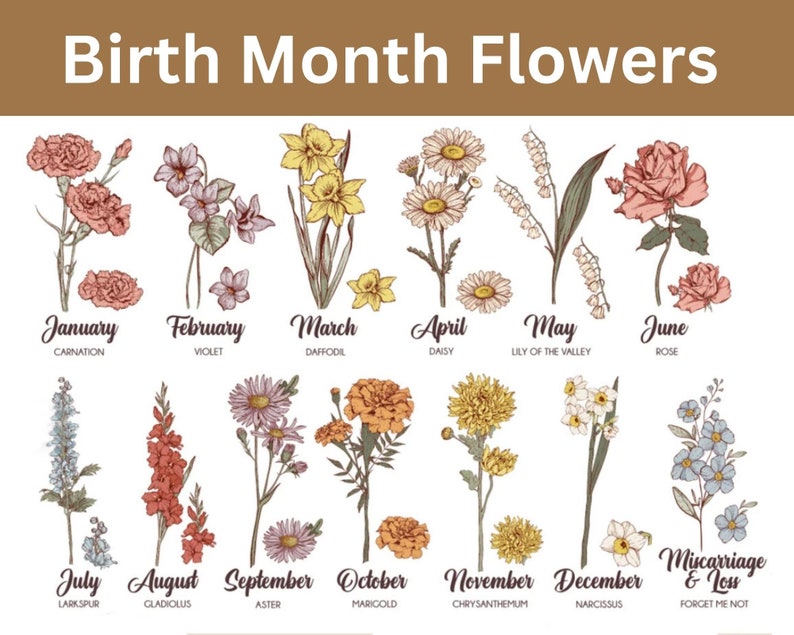 Pu&ograve; includere: Un grafico che mostra i fiori di nascita per ogni mese dell'anno. I fiori sono illustrati in uno stile vintage con dettagli delicati. I fiori sono etichettati con i loro nomi e il mese corrispondente. I mesi sono gennaio, febbraio, marzo, aprile, maggio, giugno, luglio, agosto, settembre, ottobre, novembre, dicembre e aborto spontaneo e perdita.