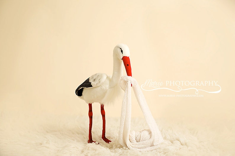 Instant Download newborn backdrop Stork with baby wrap So unique image 2