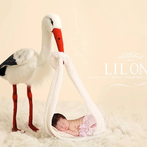 Instant Download newborn backdrop! Stork with baby wrap! So unique!