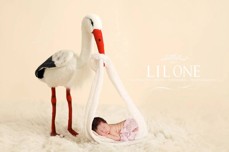 Instant Download newborn backdrop Stork with baby wrap So unique image 1