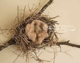巣のデジタル背景をすぐにダウンロードできます。フクロウの新生児や赤ちゃん鳥の新生児に最適です。花輪のデジタル背景!